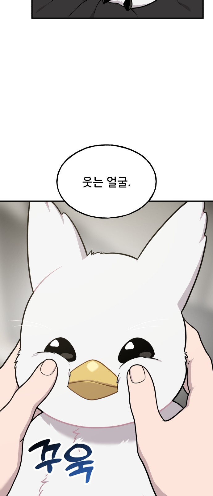 17 페이지