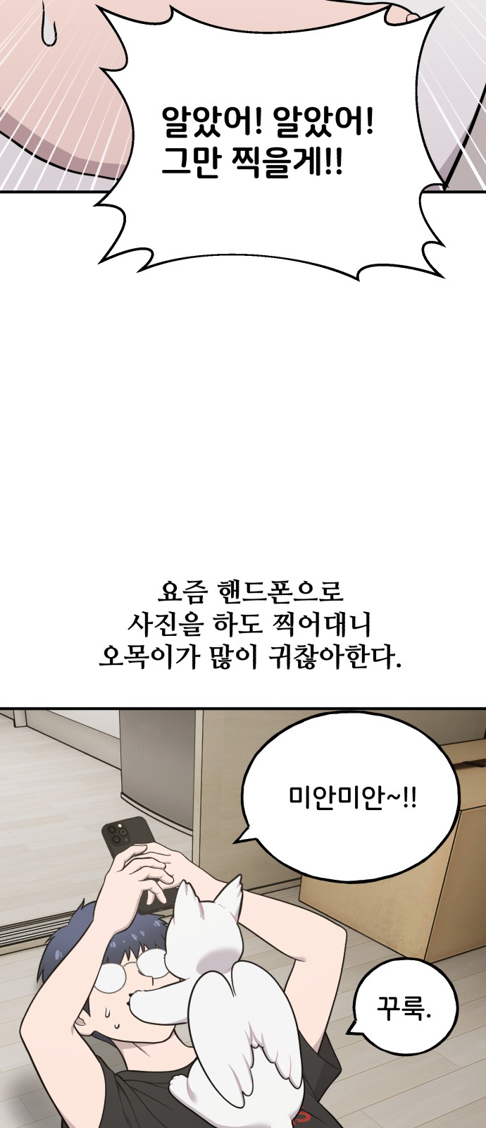 5 페이지