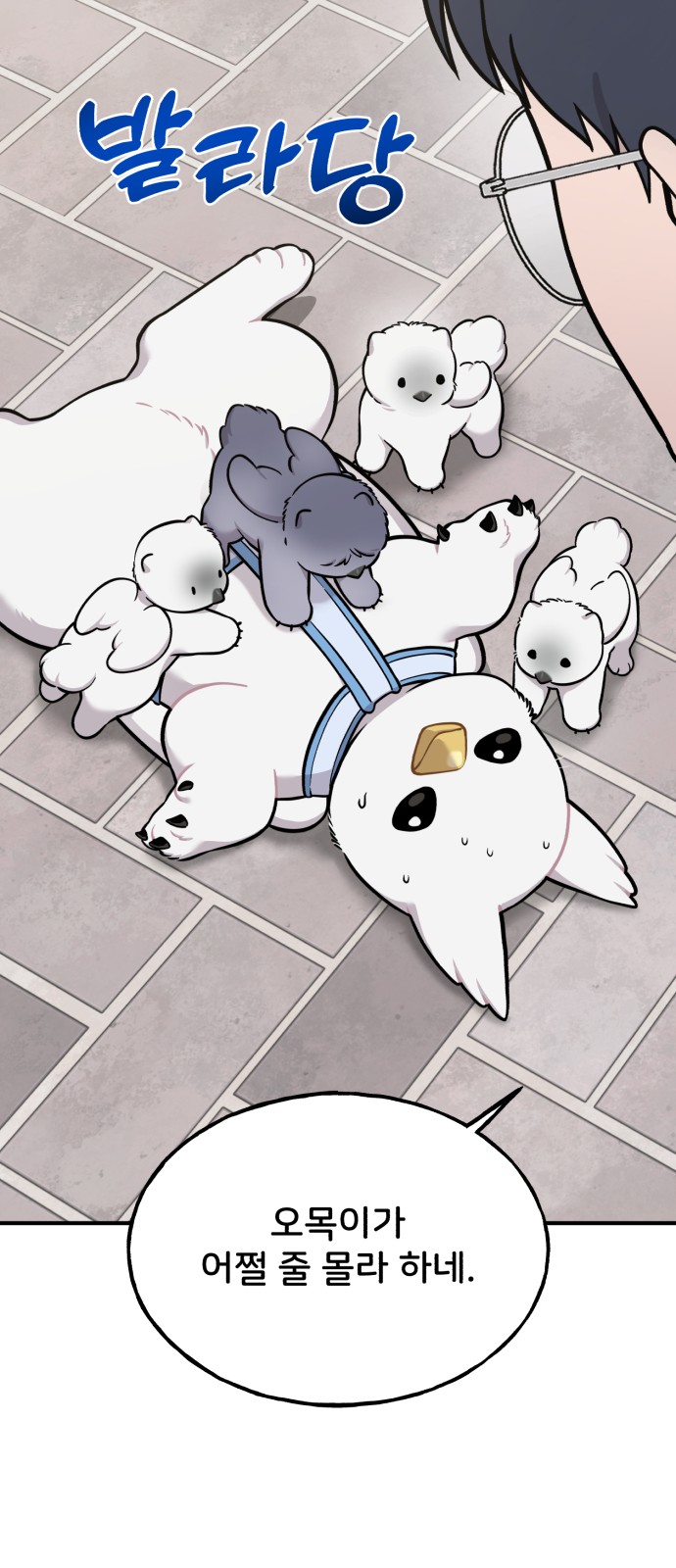 11 페이지
