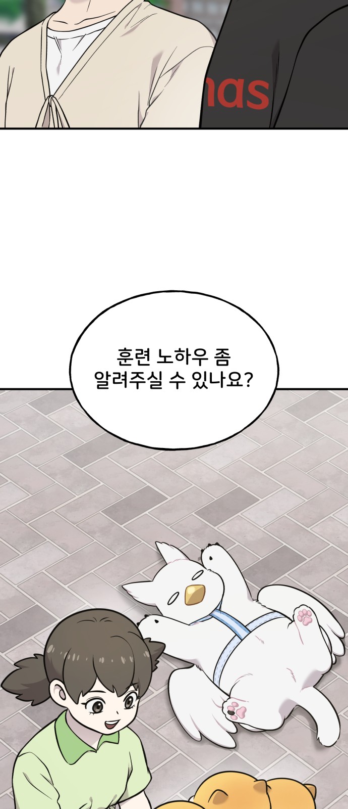 61 페이지