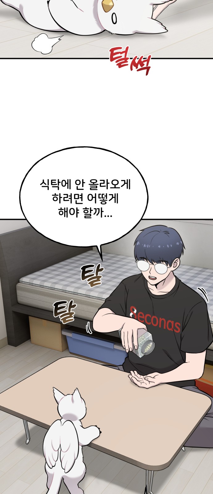 30 페이지