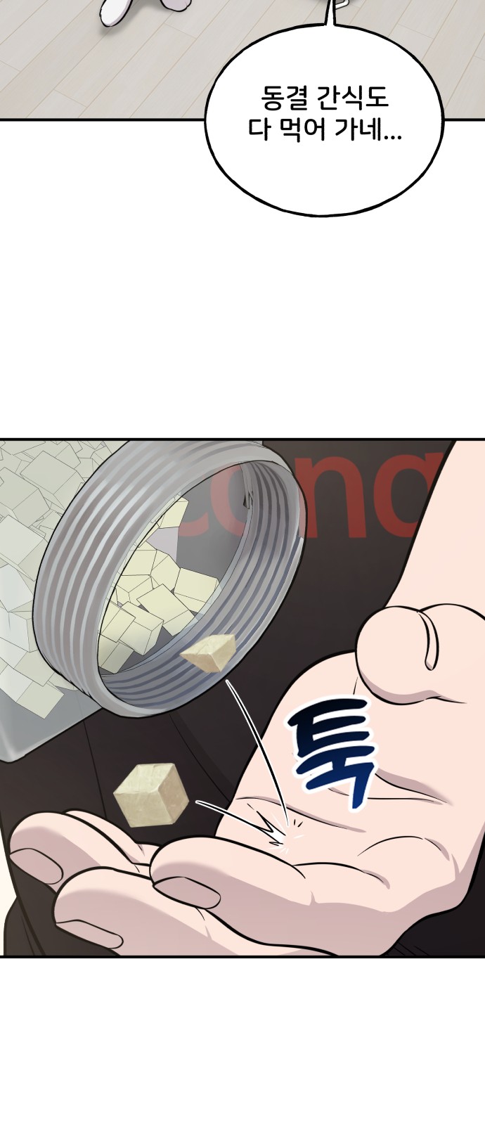 31 페이지