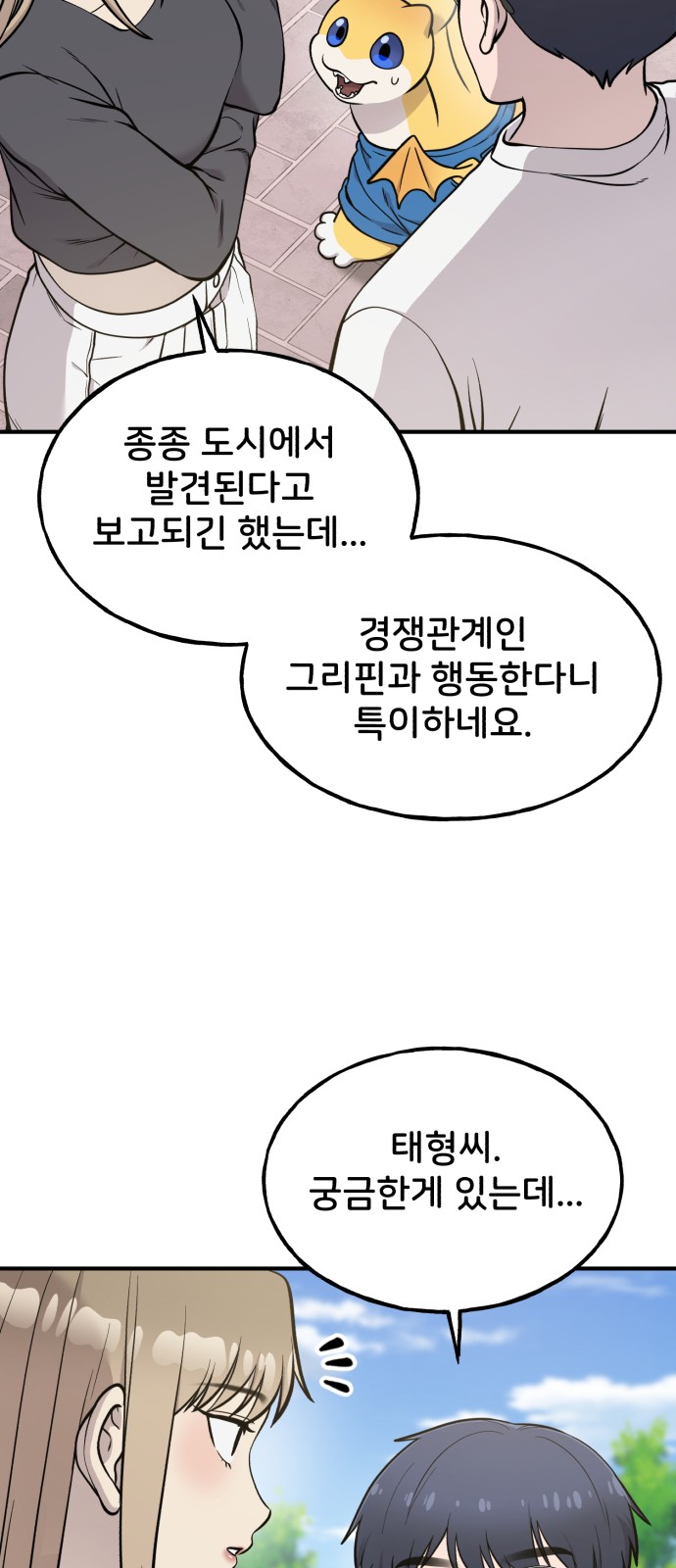 14 페이지