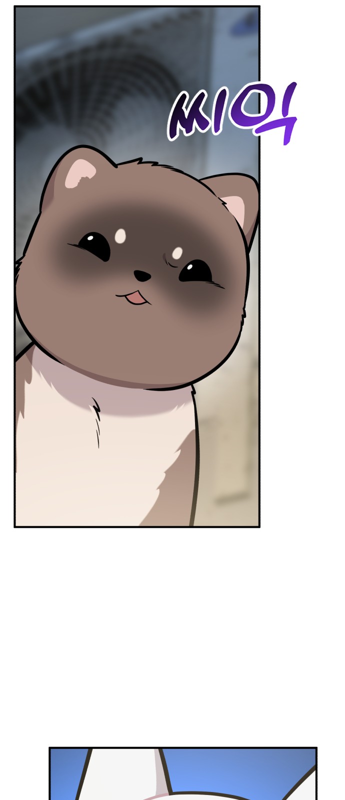 29 페이지