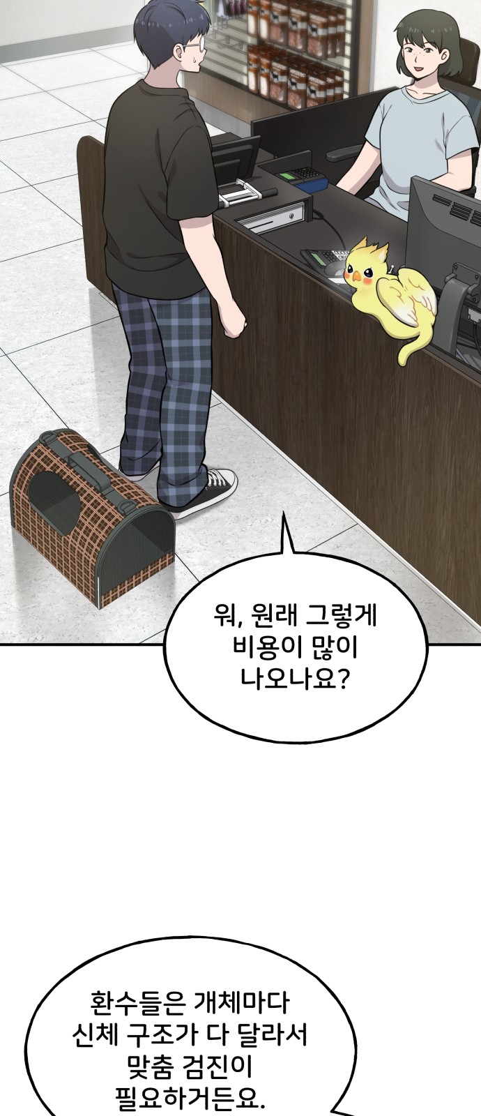 20 페이지