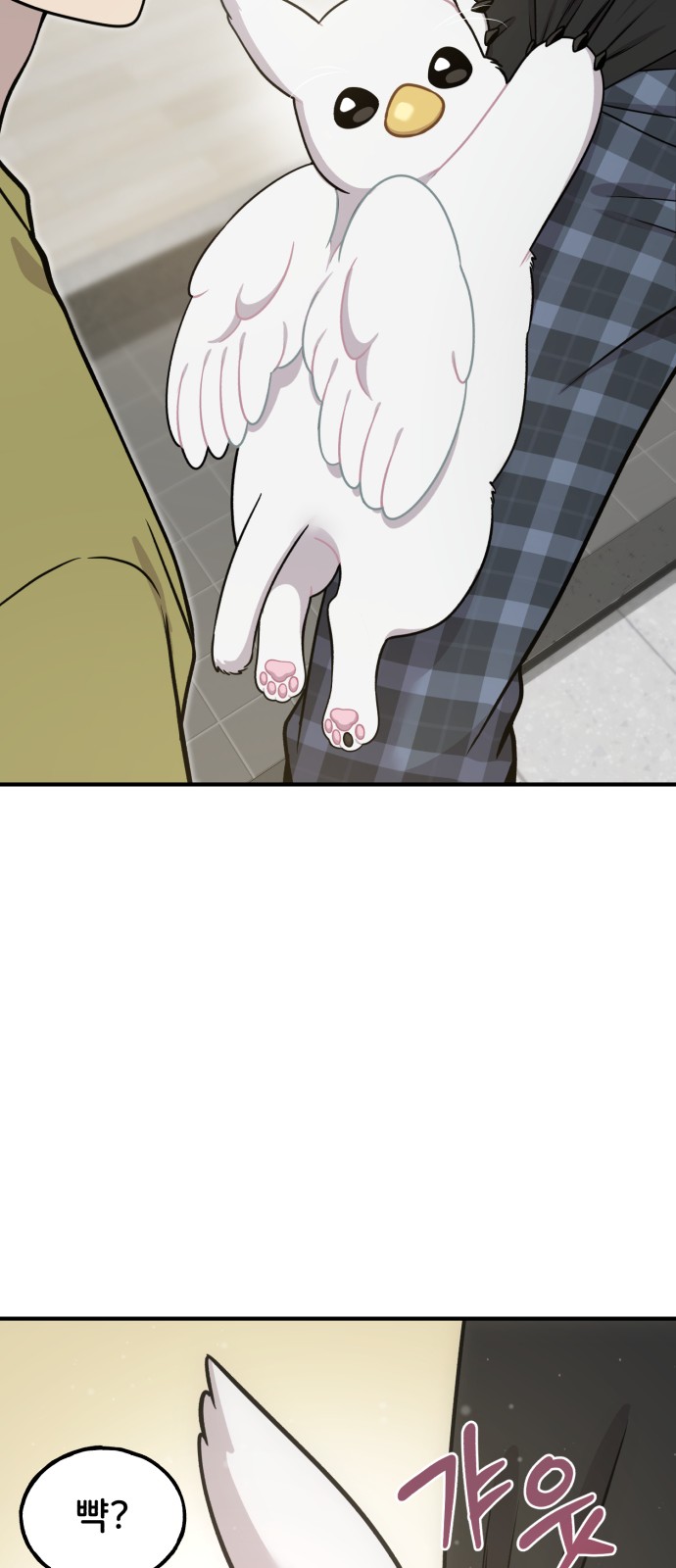 74 페이지