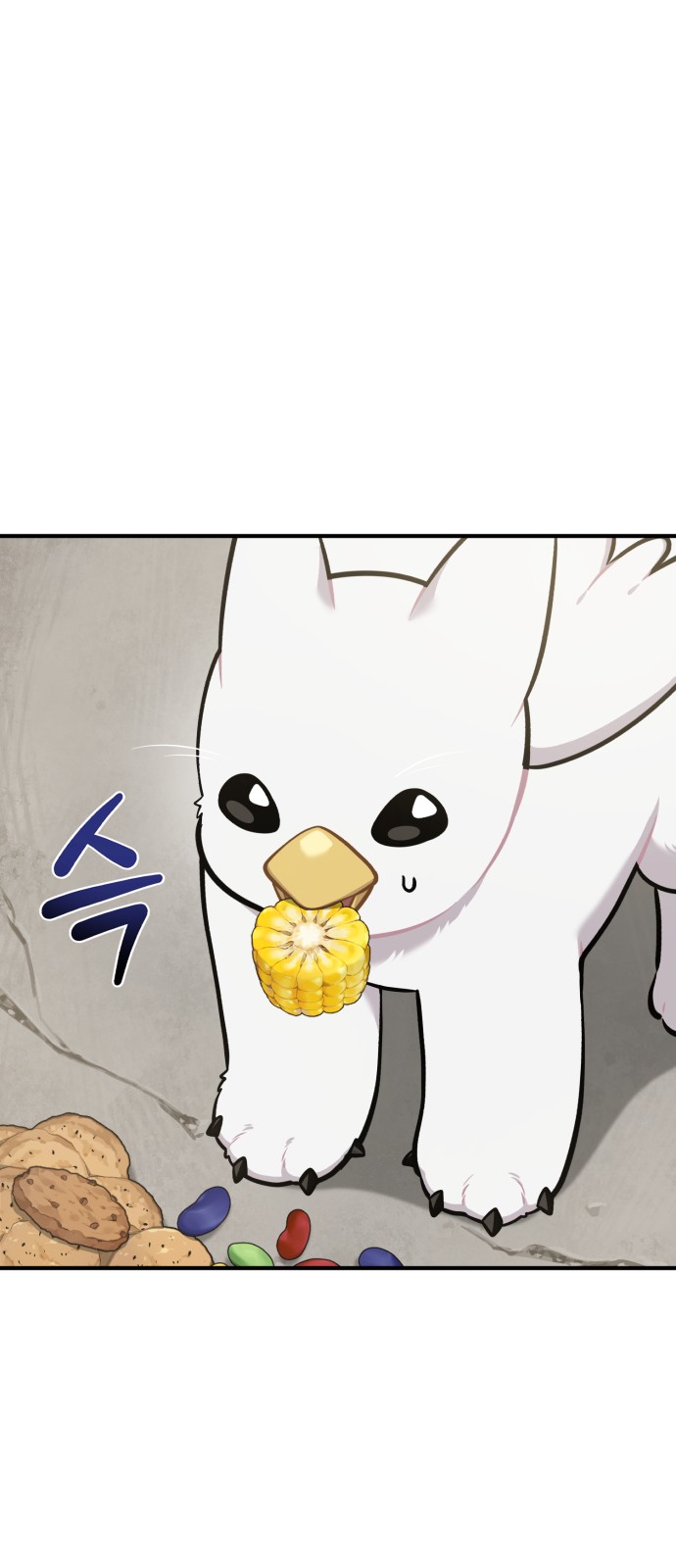 31 페이지