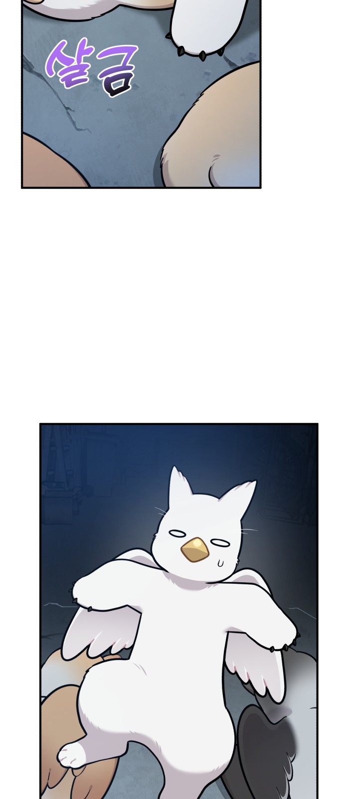 55 페이지