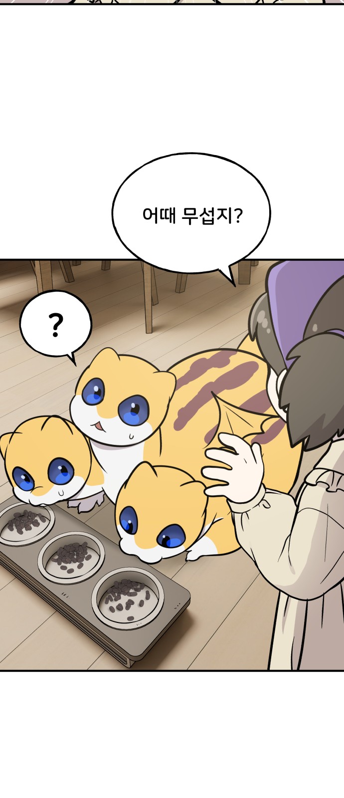 77 페이지