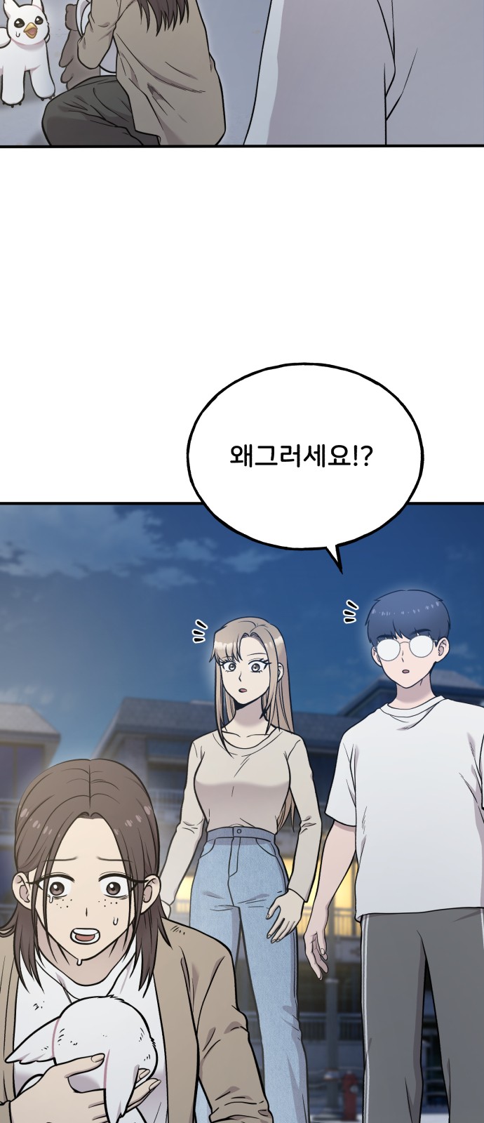 17 페이지