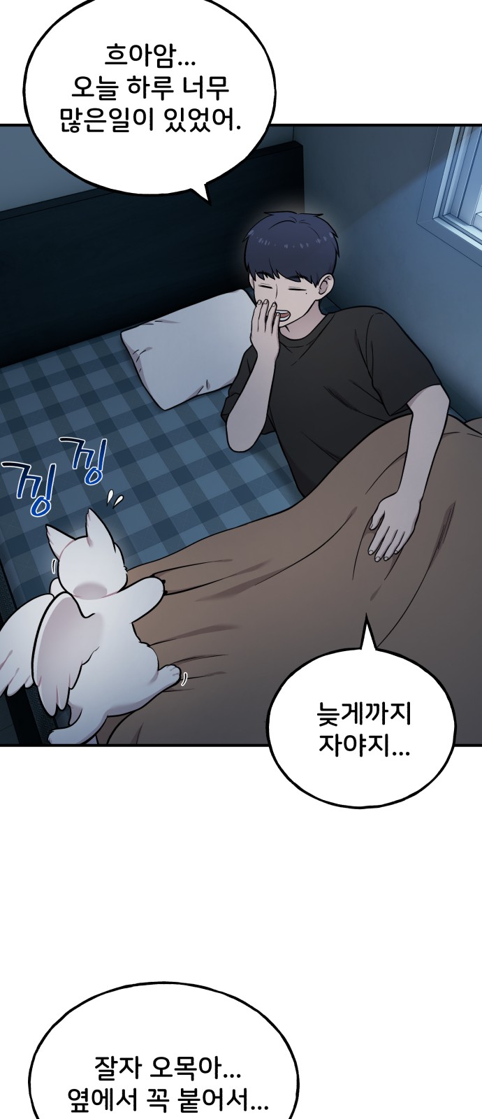 54 페이지