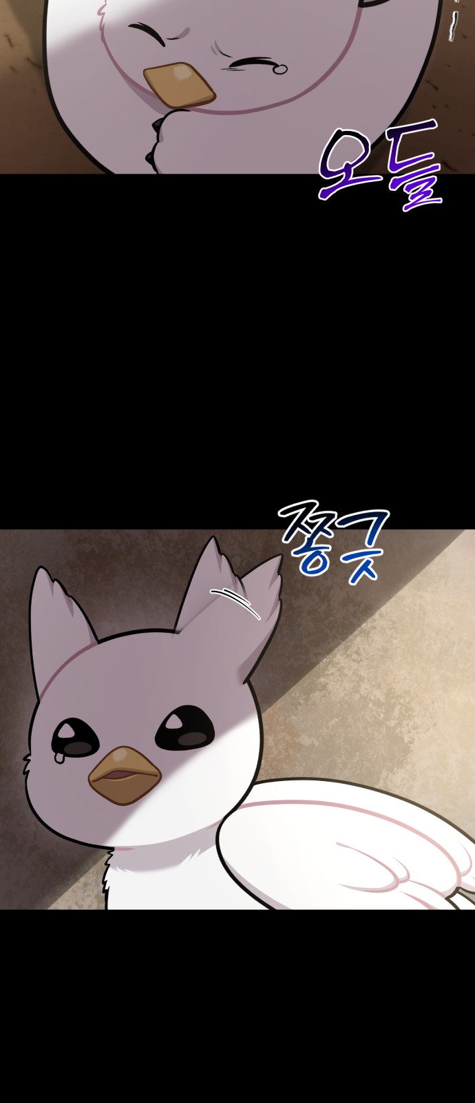 51 페이지