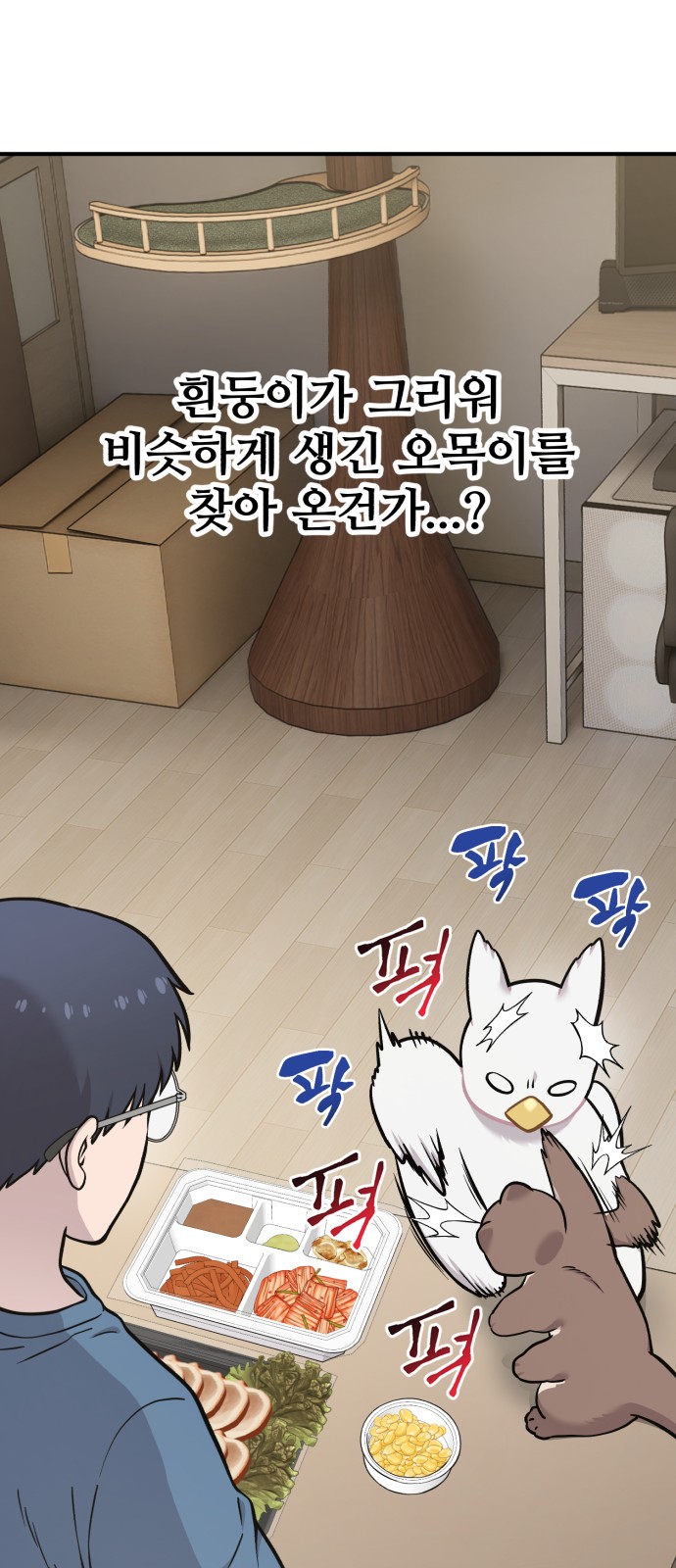 16 페이지