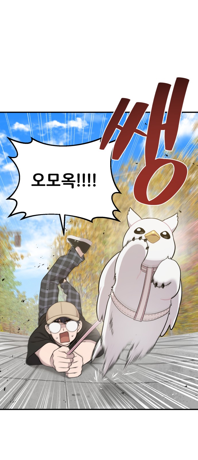 43 페이지