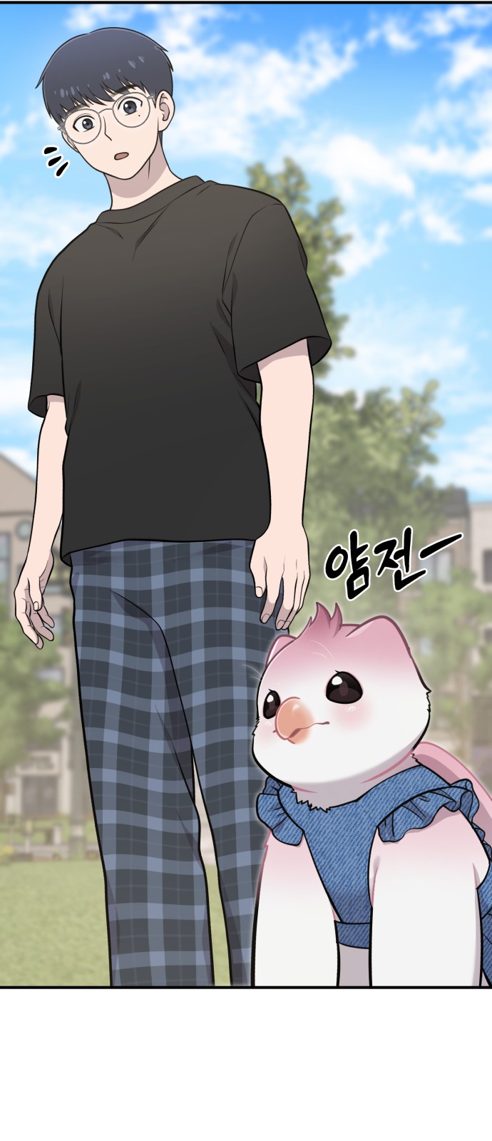 11 페이지