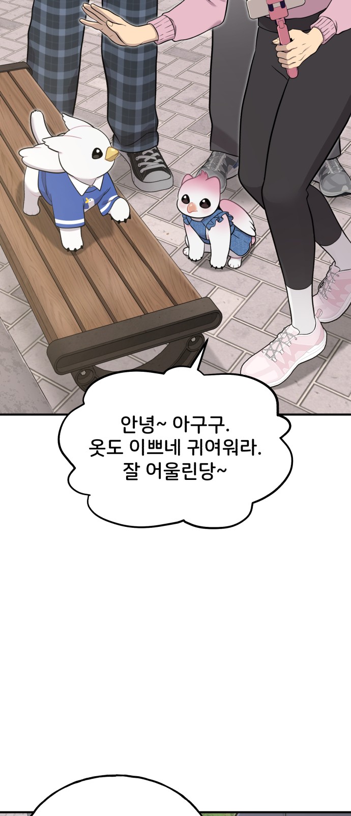 6 페이지