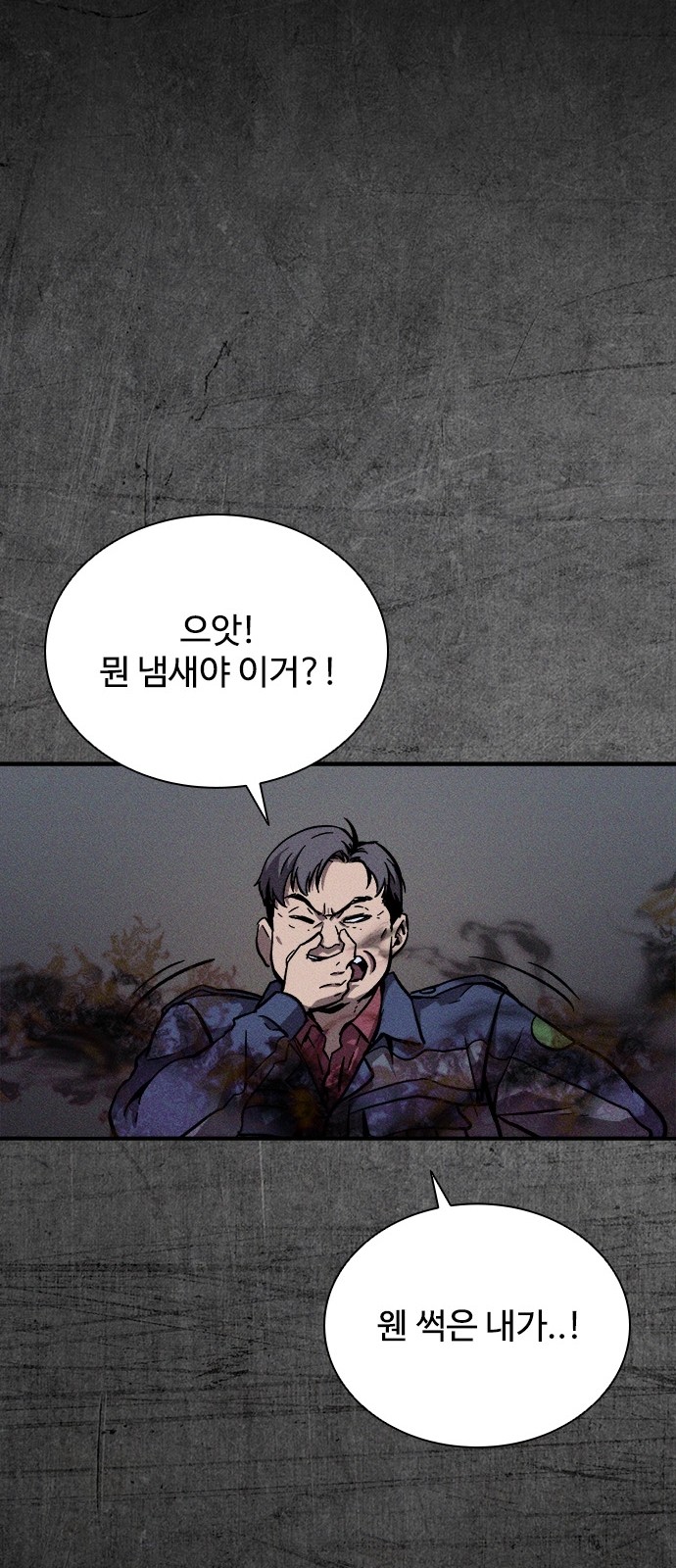 50 페이지