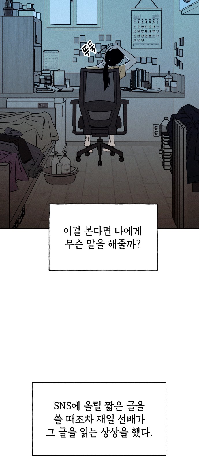 43 페이지