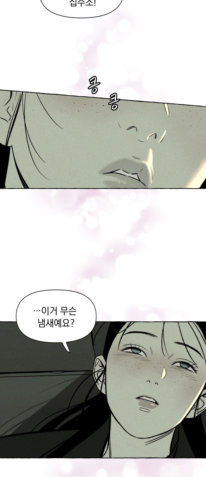 51 페이지