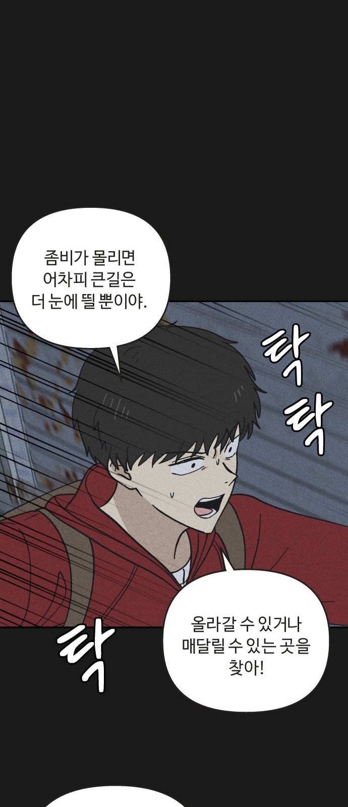 41 페이지