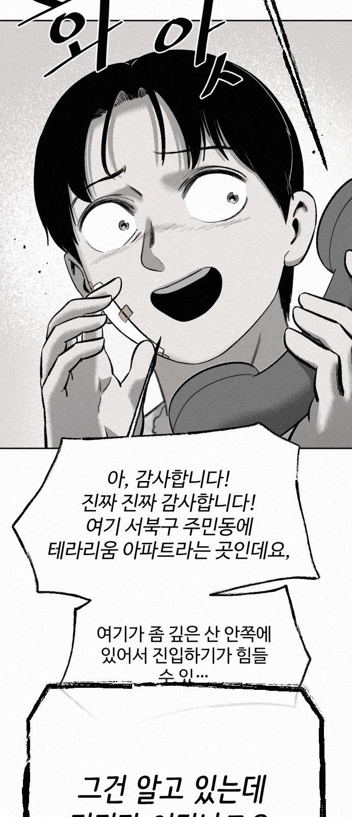 66 페이지