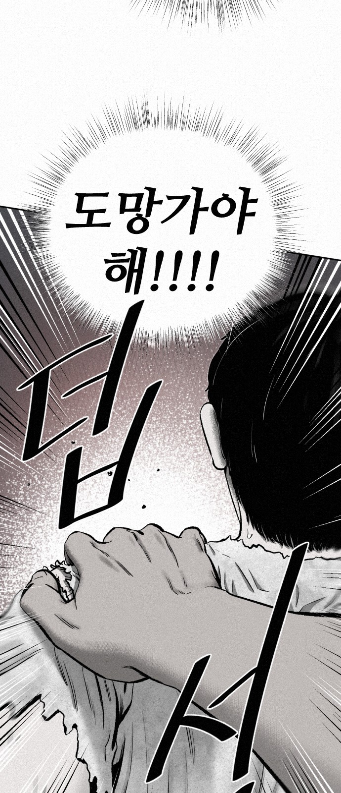 77 페이지