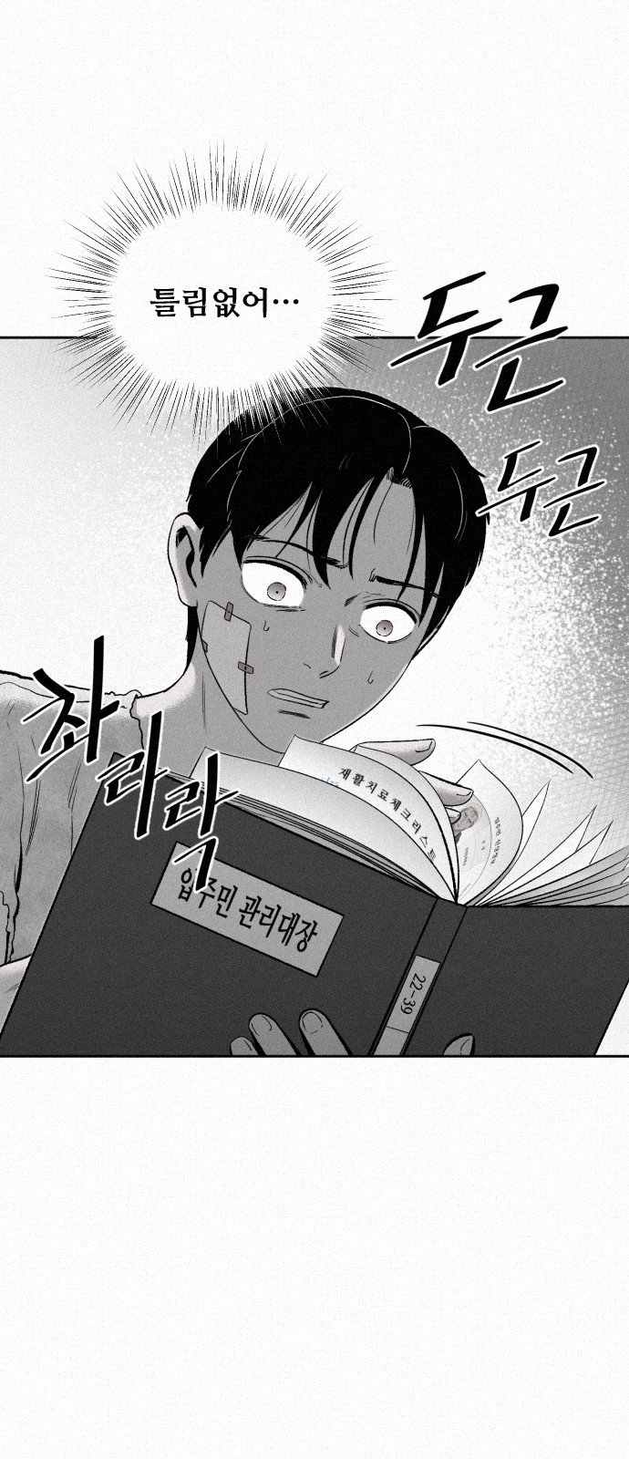 17 페이지