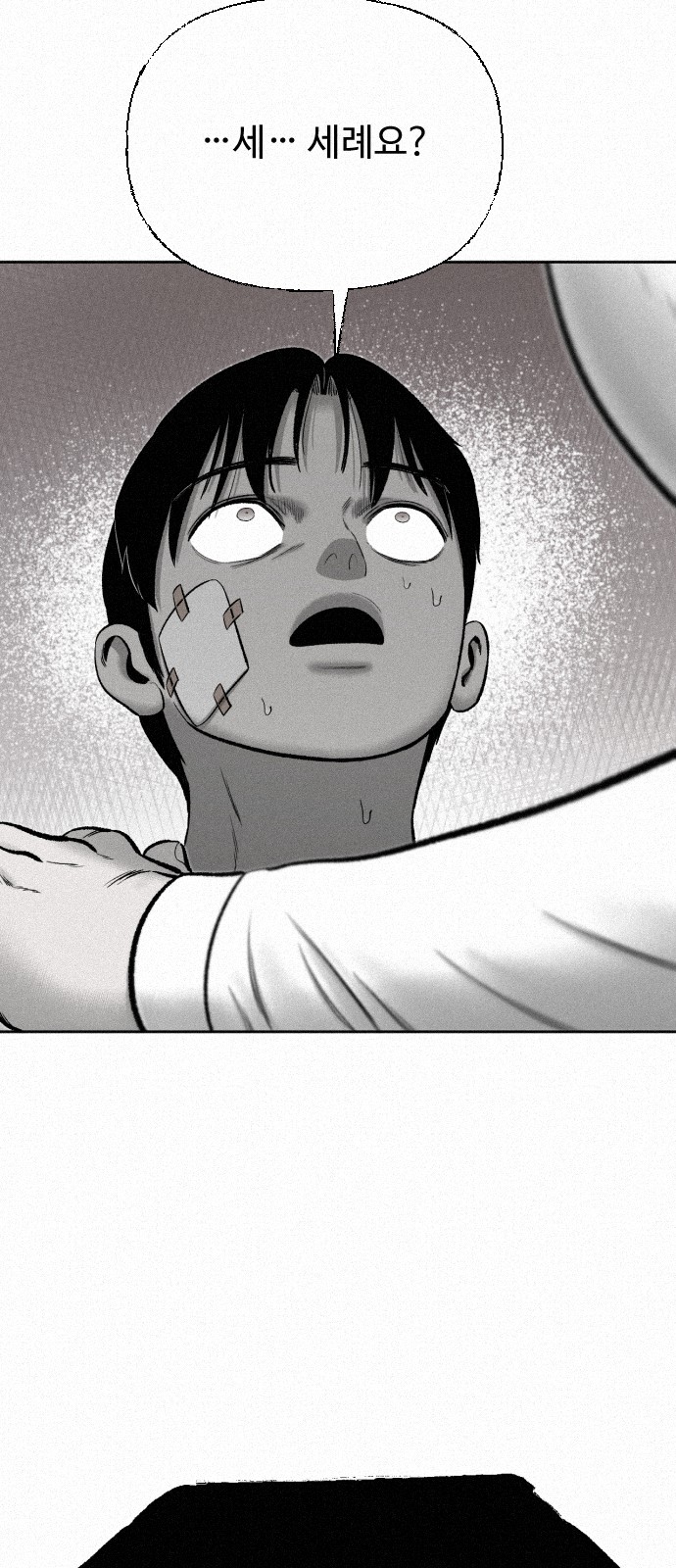 29 페이지