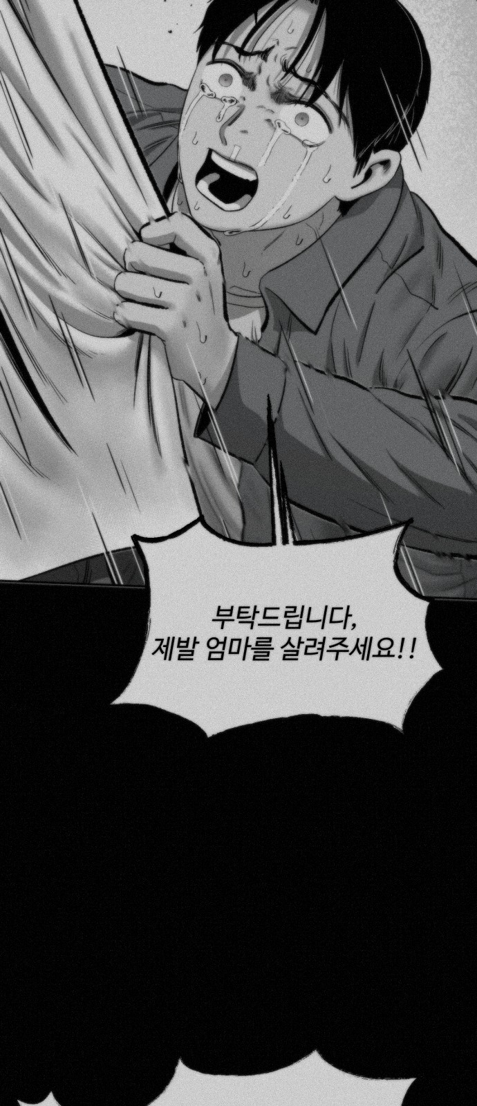 81 페이지