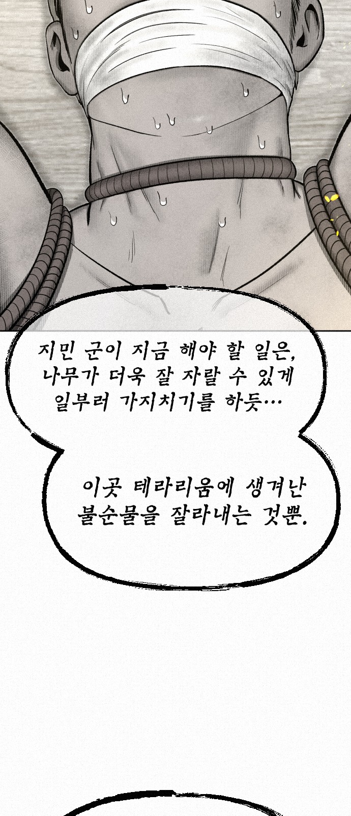 71 페이지