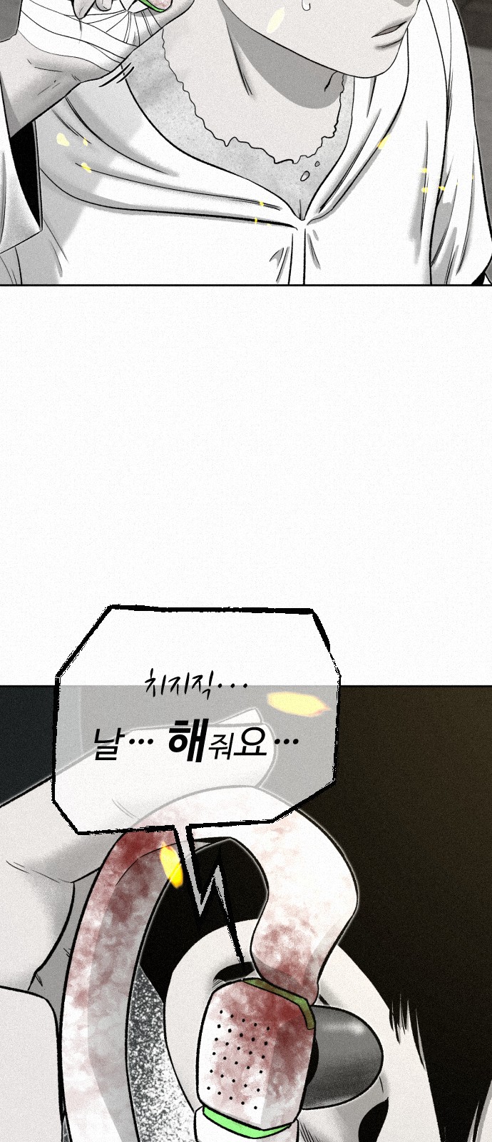 66 페이지