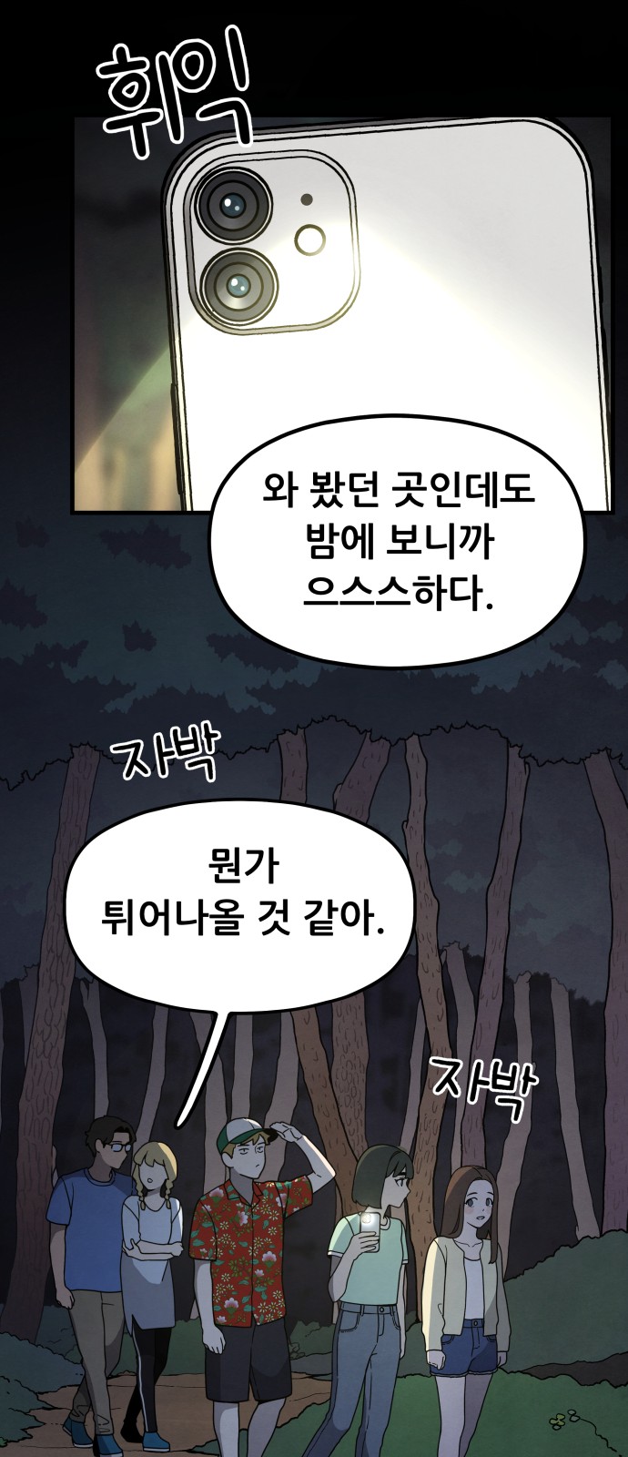 66 페이지