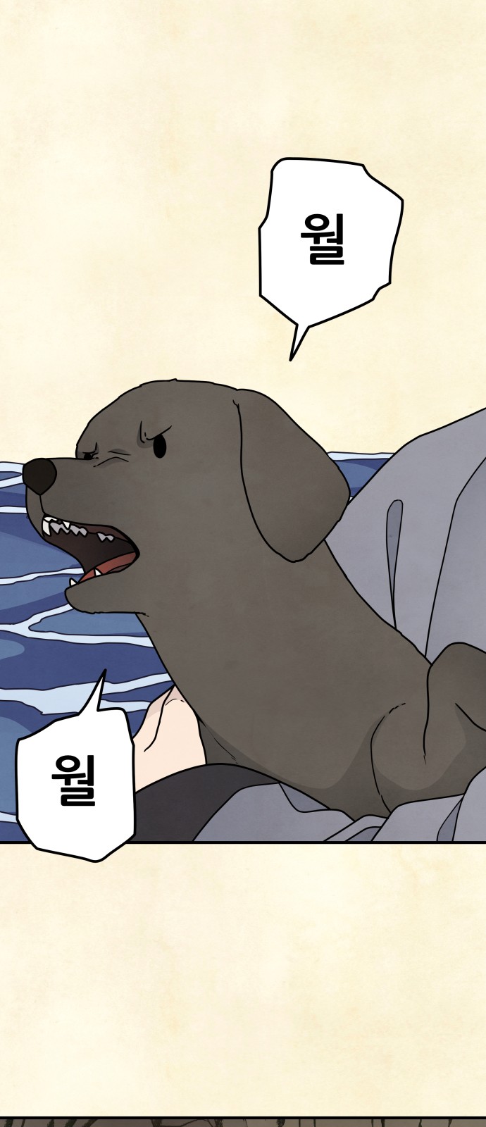 50 페이지