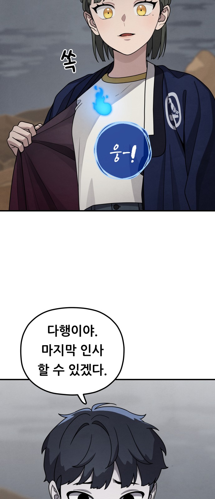 66 페이지
