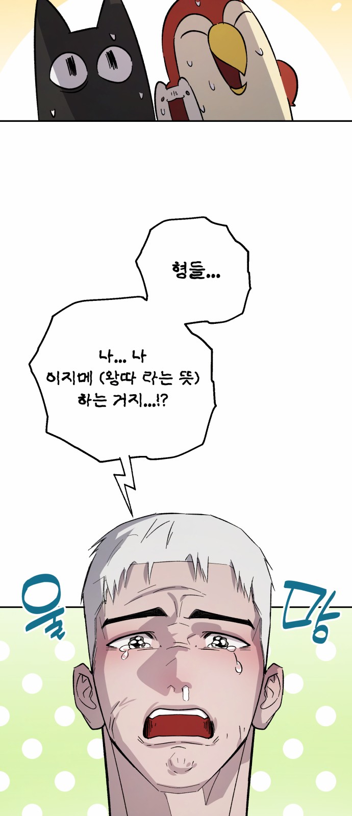 31 페이지