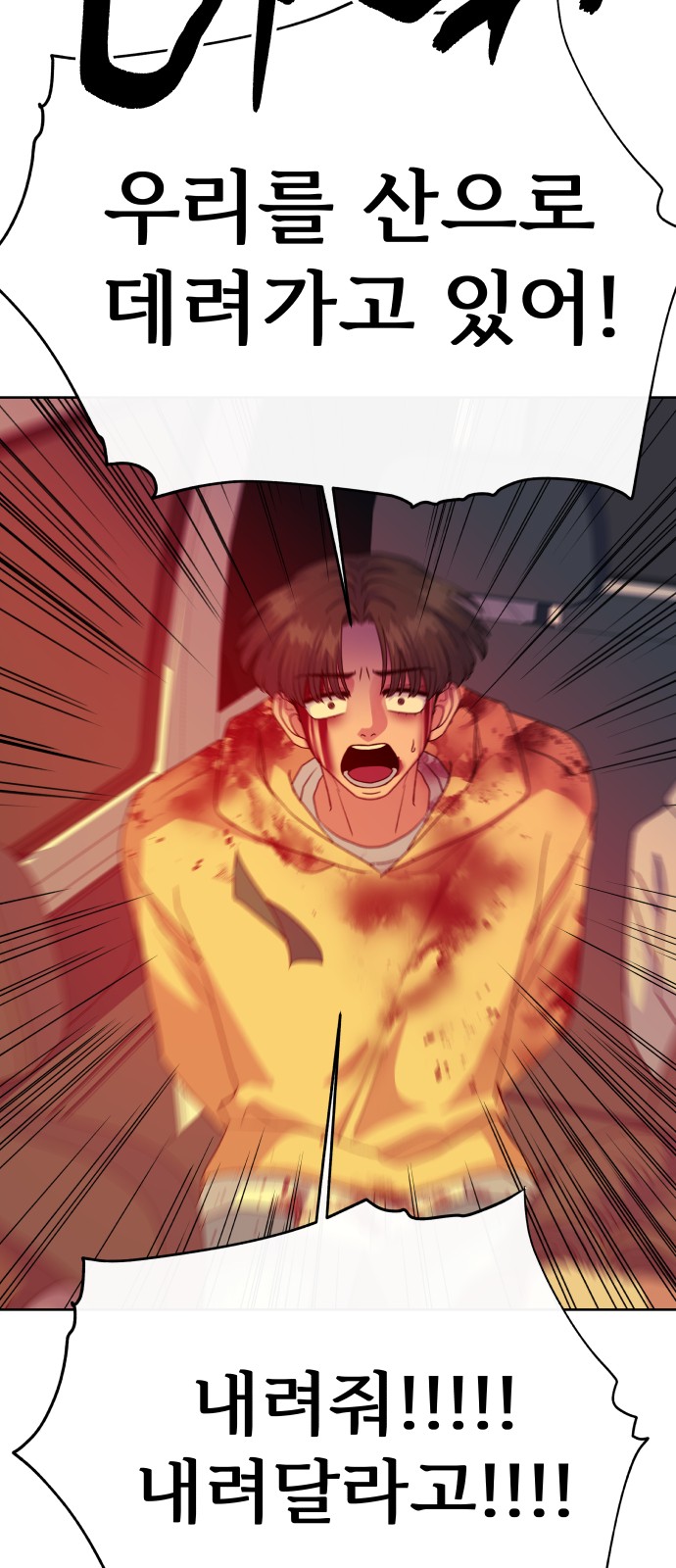 80 페이지
