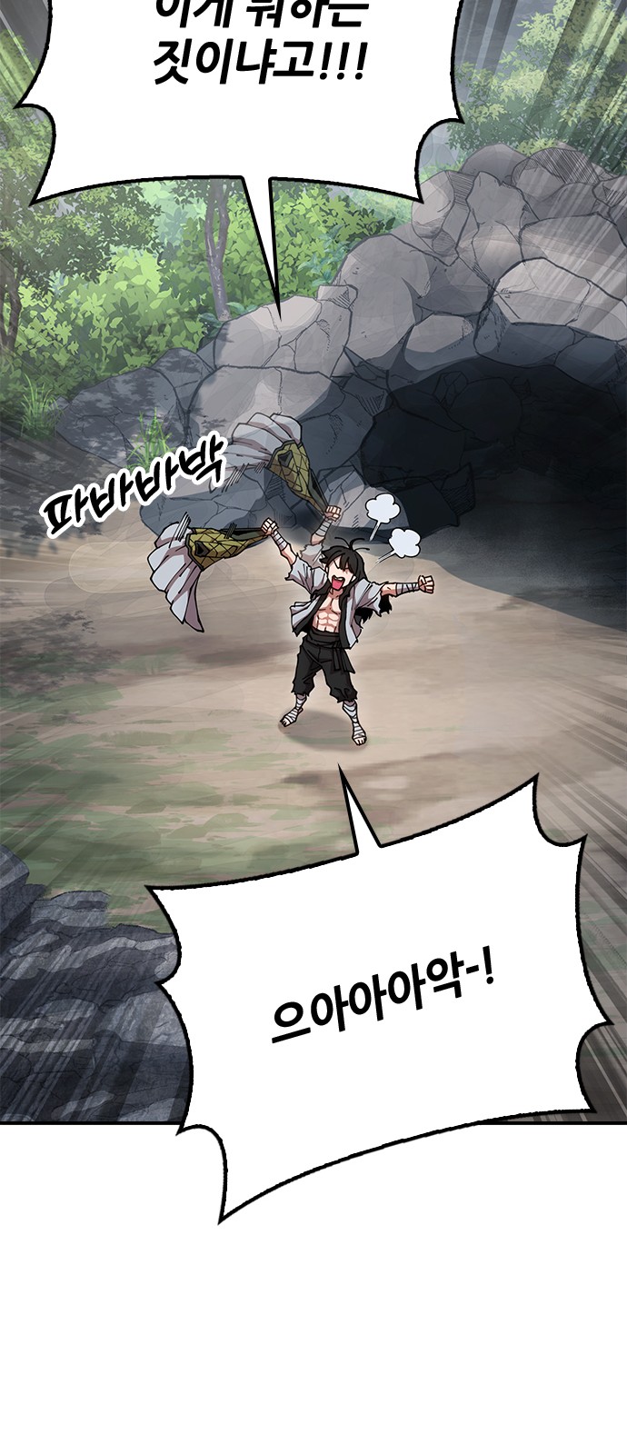 66 페이지