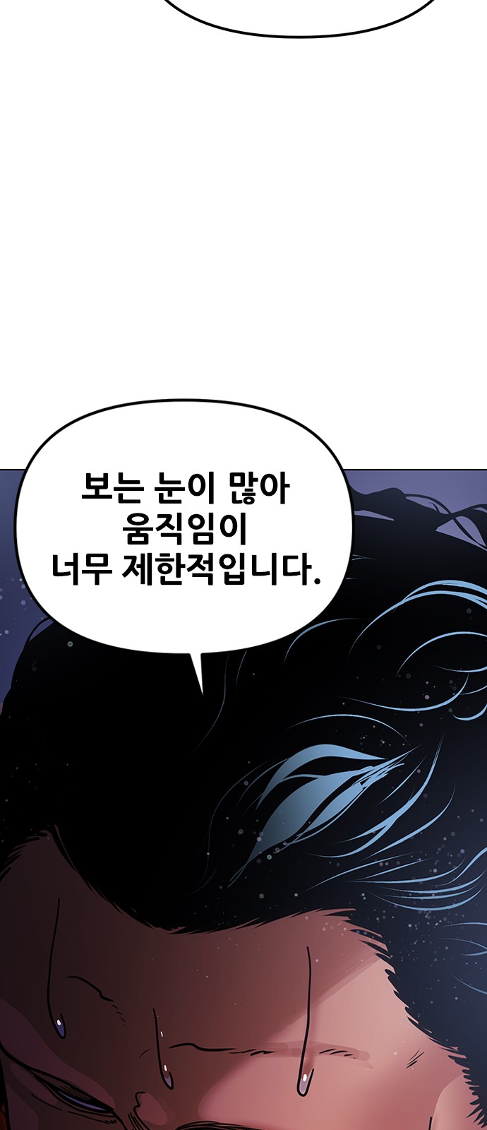 110 페이지