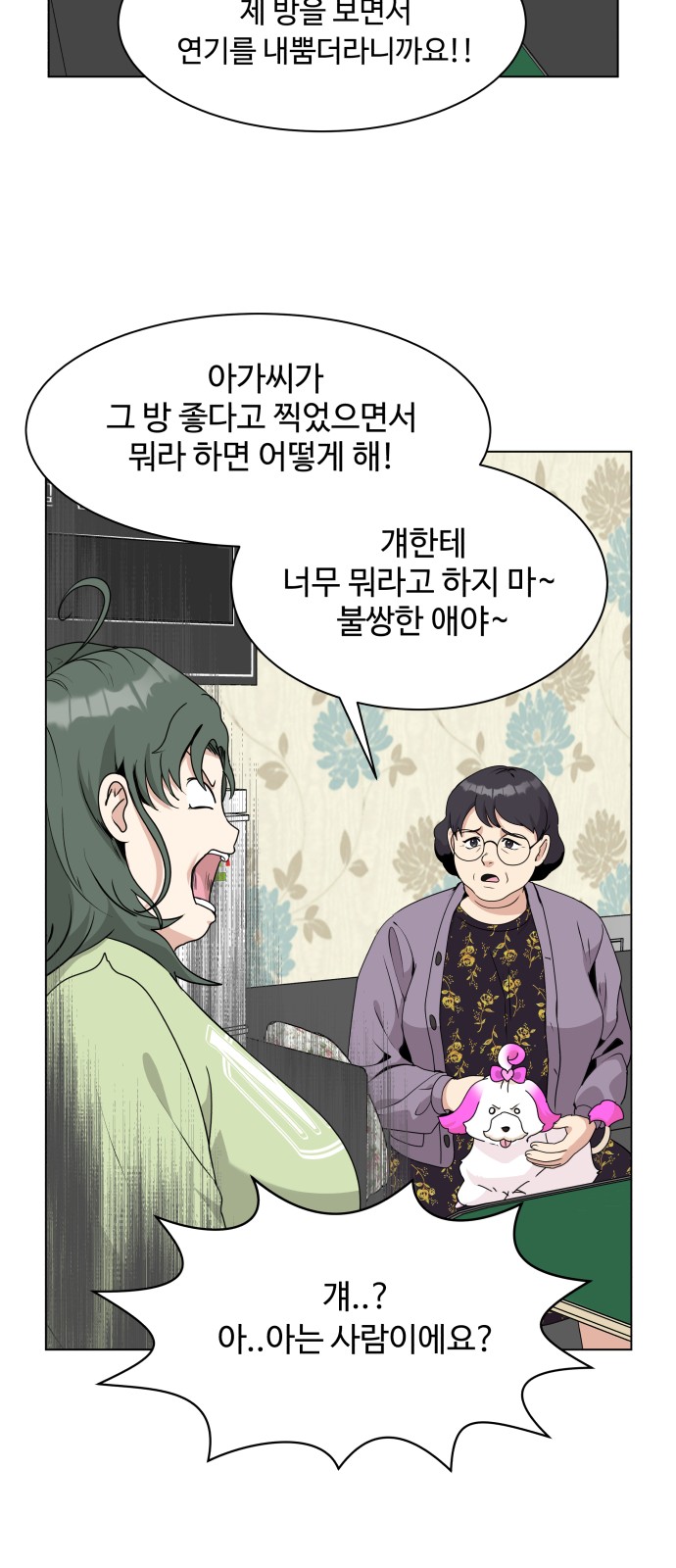 13 페이지