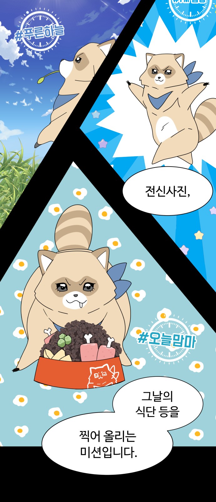 77 페이지