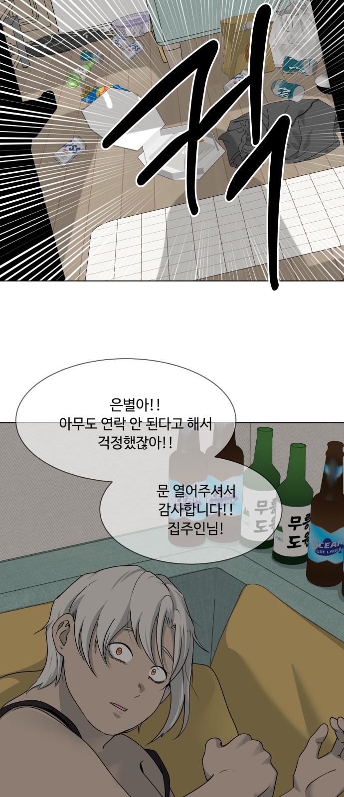 68 페이지
