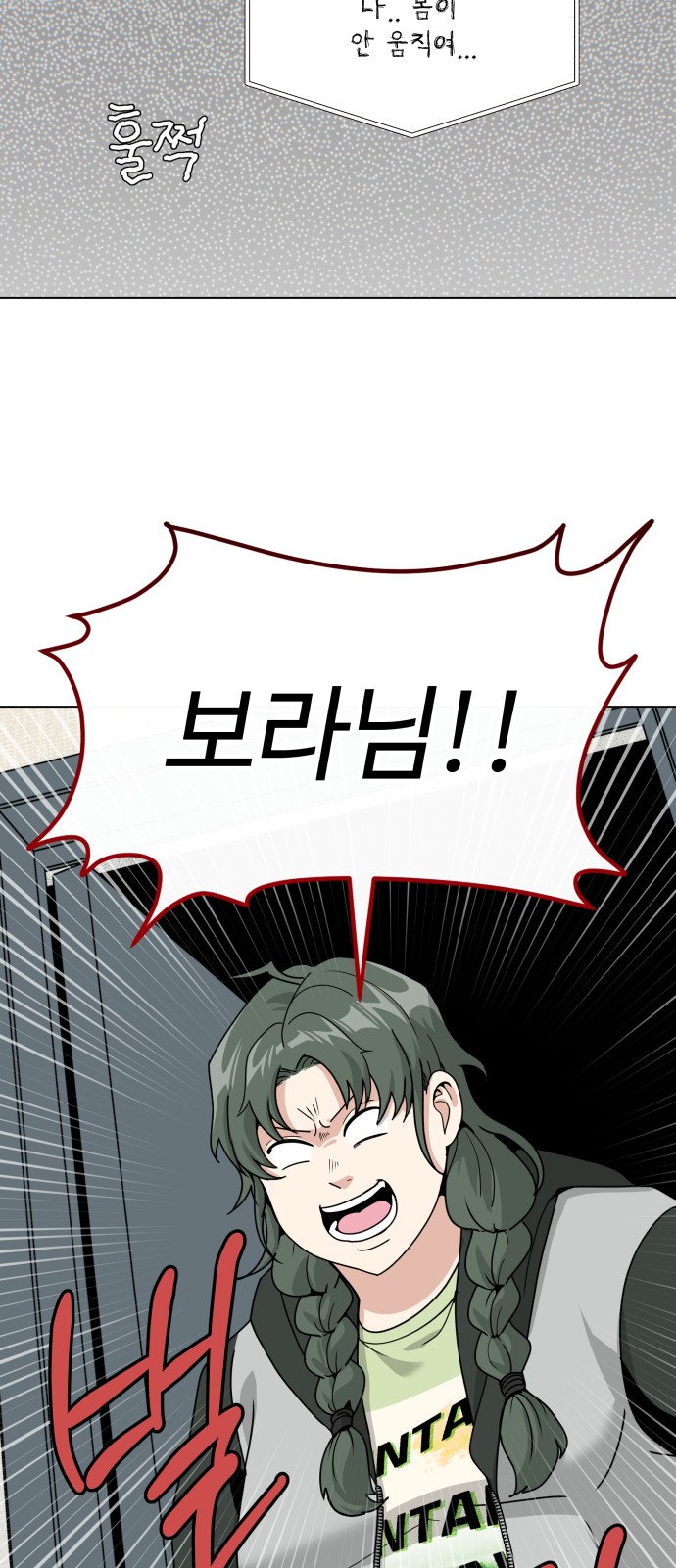 51 페이지