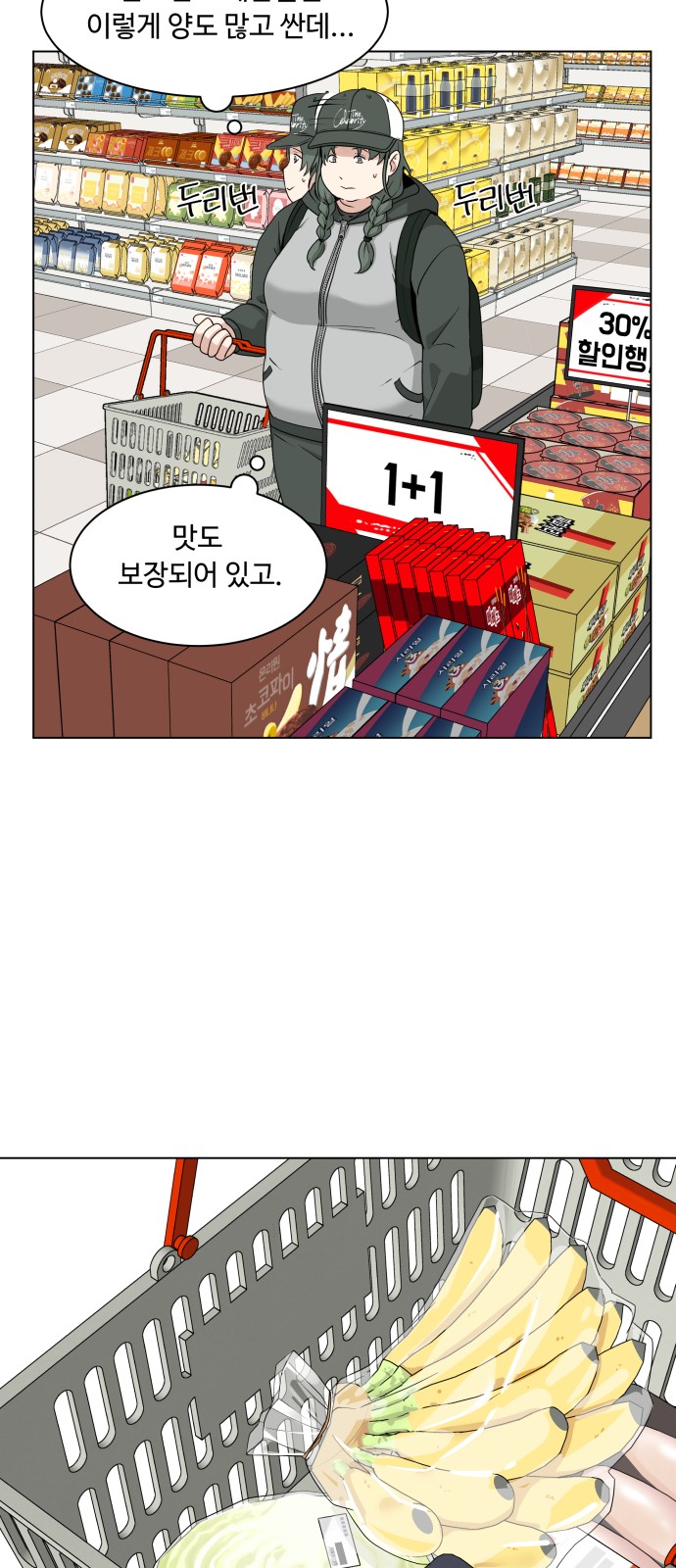 52 페이지