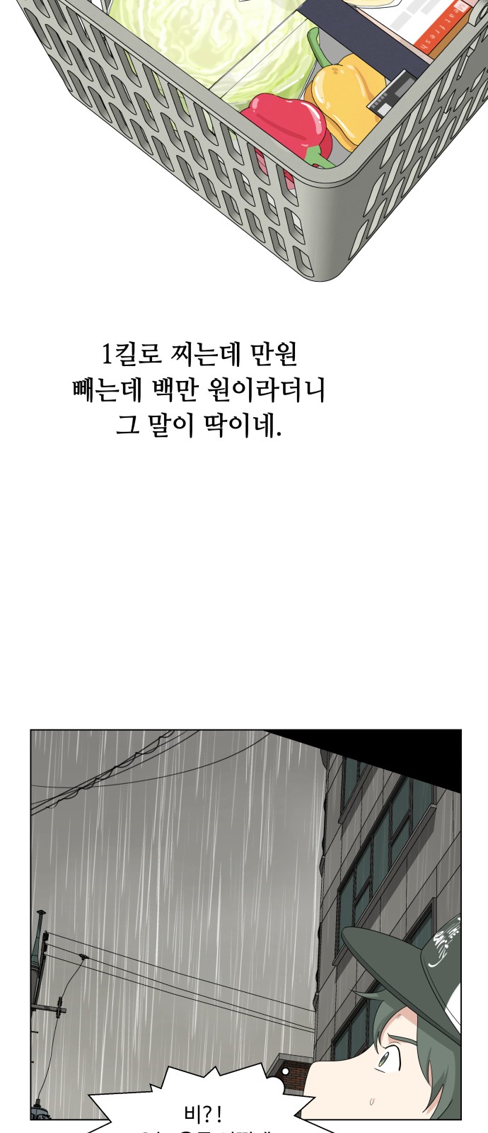 53 페이지