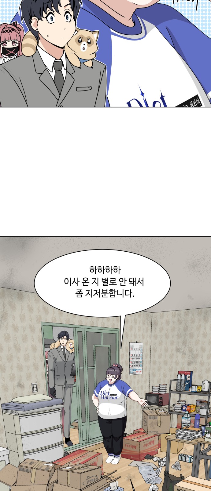66 페이지