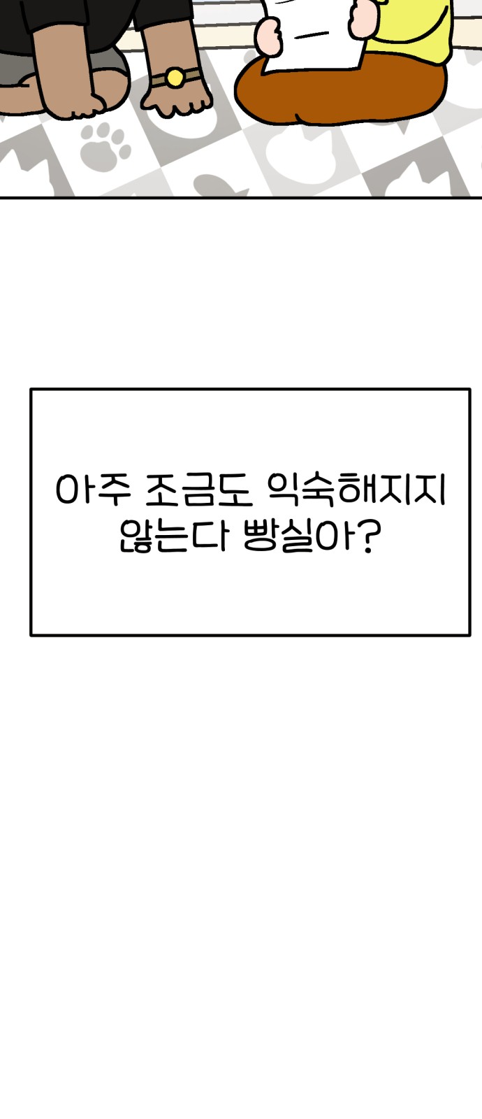 81 페이지