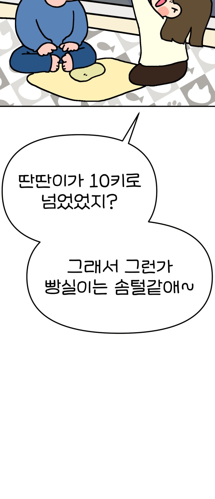 51 페이지