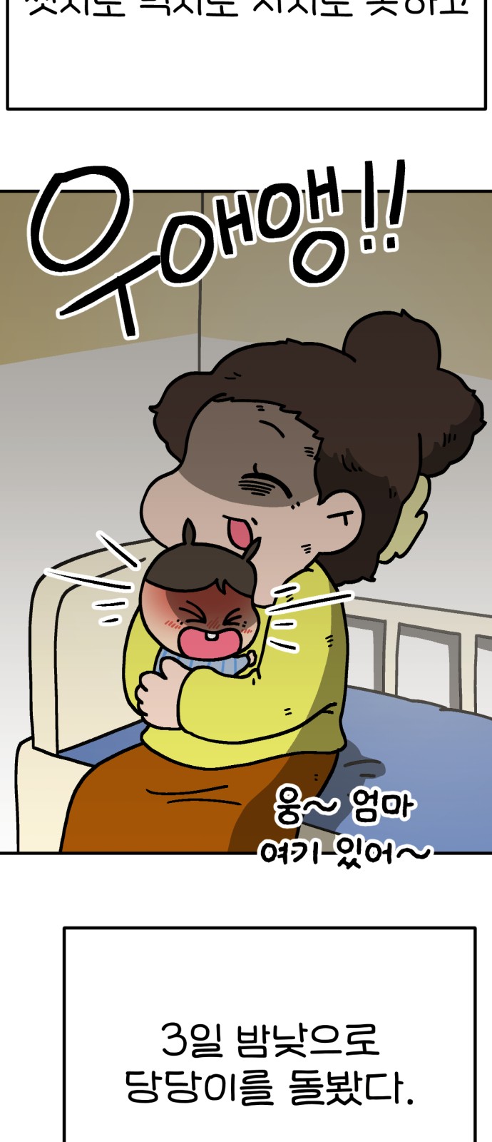 72 페이지