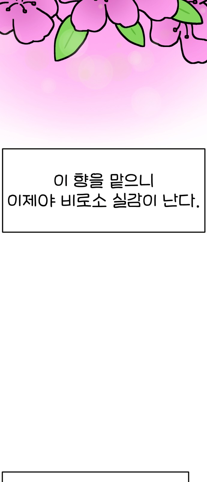 91 페이지