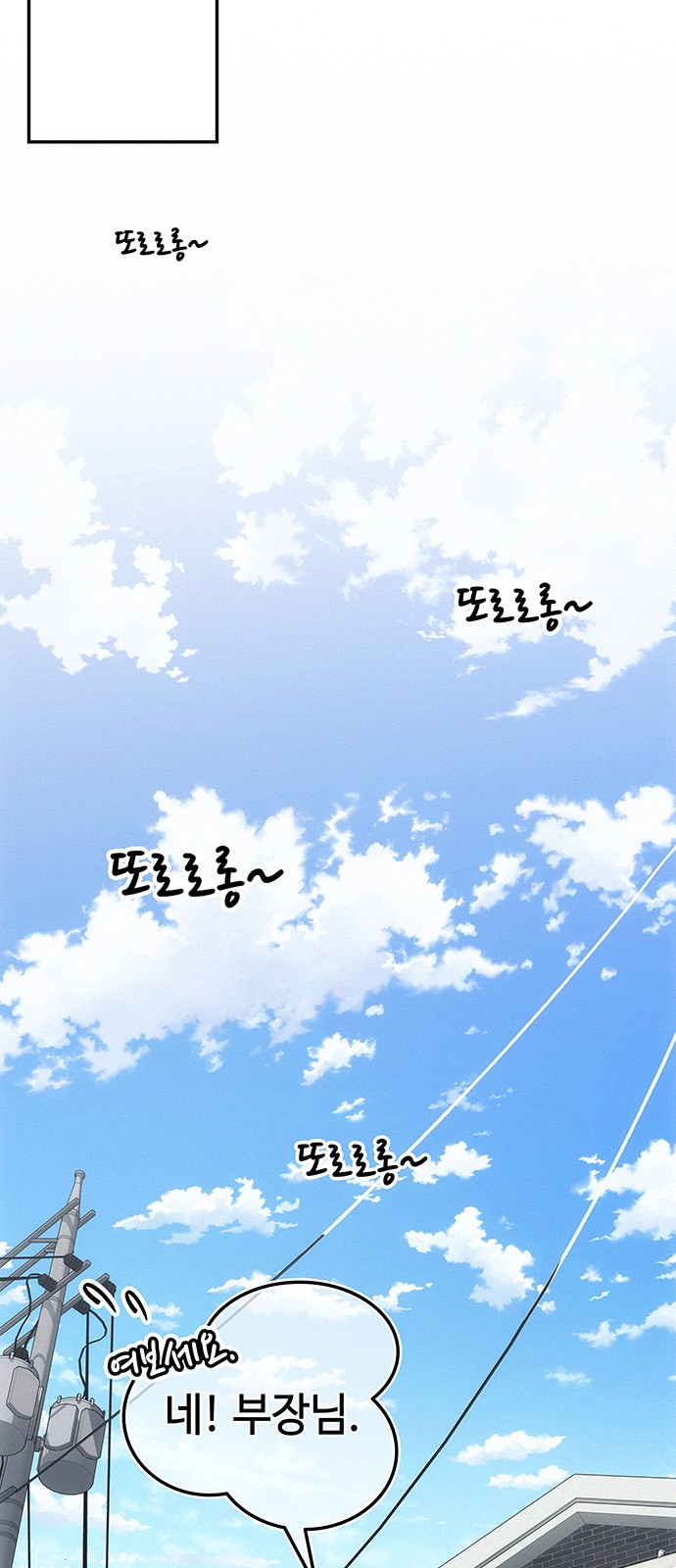 126 페이지